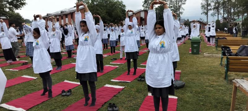 Yoga day celebration at Govt Degree College Kupwara on 21 June 2024. Students of AGS Wayne took part in yoga day celebration.