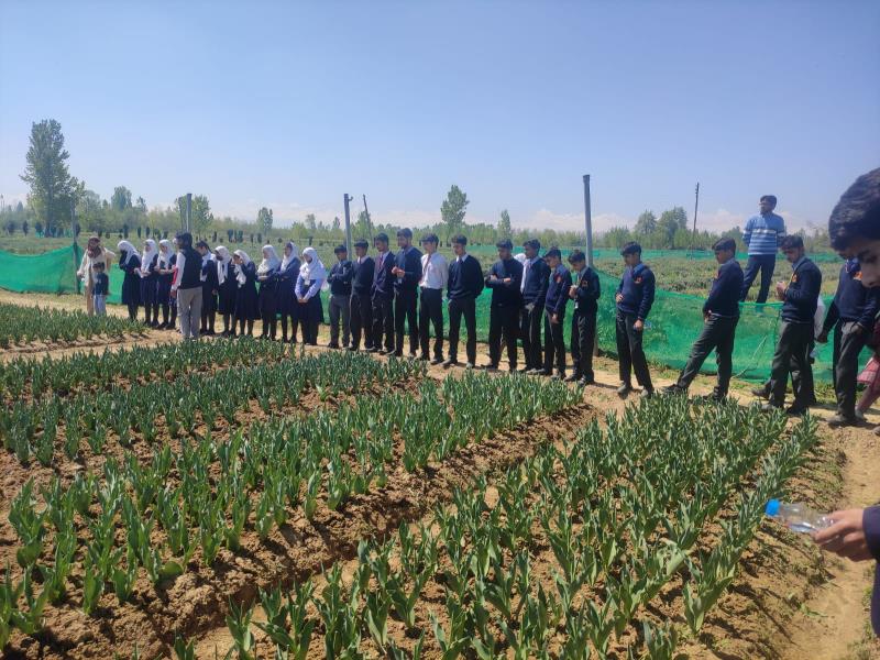 On 24th April ,Students of AGS wayne alone with two teachers and OIC  visited lavender cultivation site at Bonera Pulwama to discovering the techniques of cultivation and harvesting.